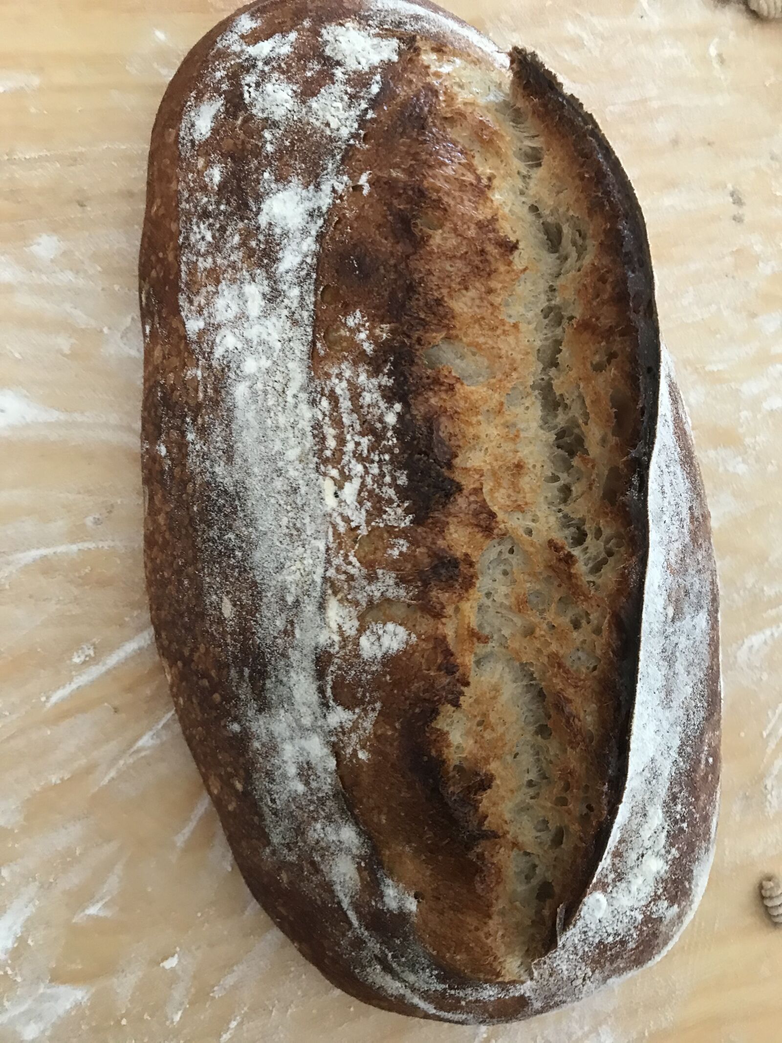 iPhone 7 back camera 3.99mm f/1.8 sample photo. Bread, the product oven photography