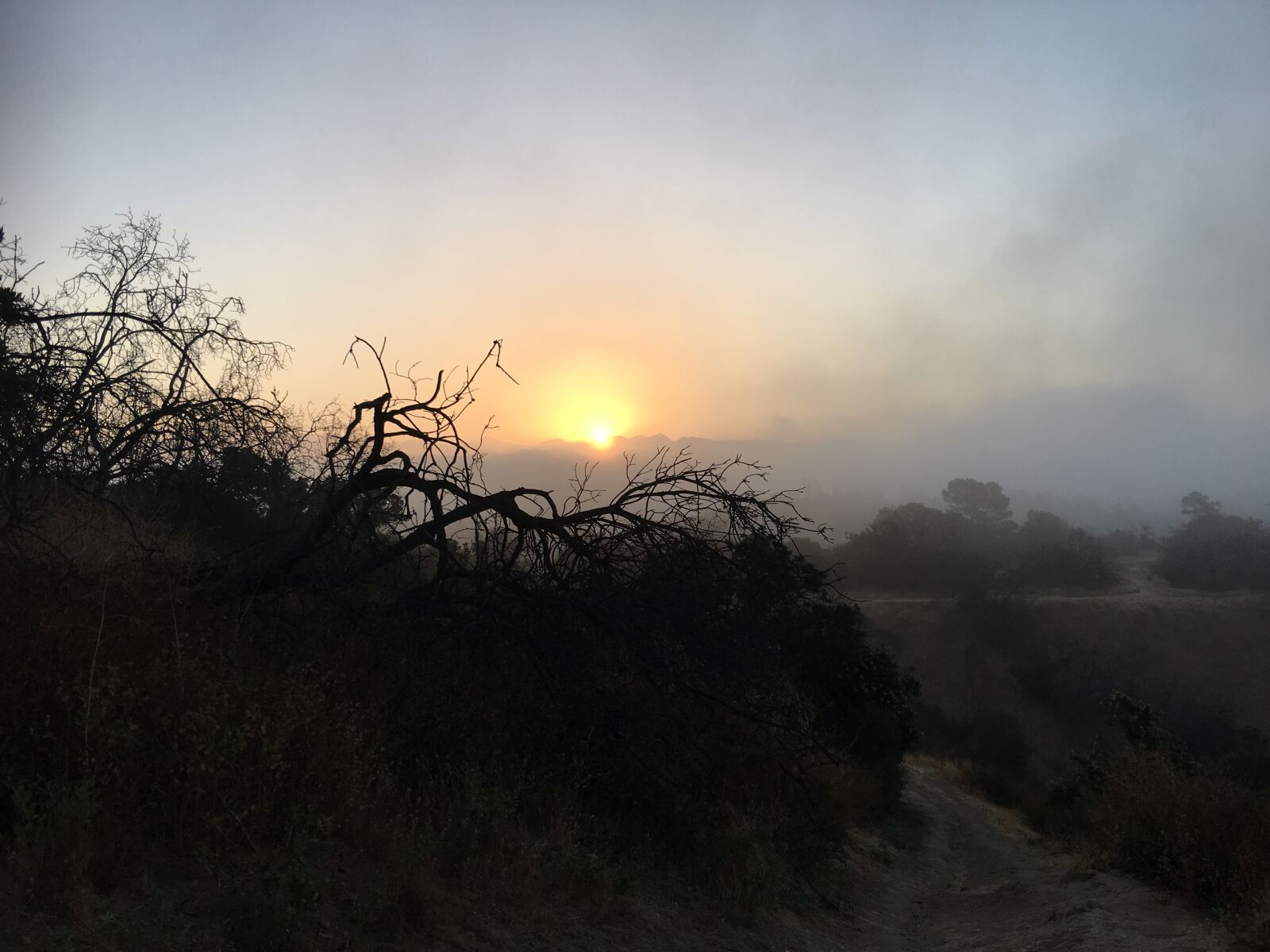 iPhone 6s Plus back camera 4.15mm f/2.2 sample photo. Morning, sunrise, meditation photography