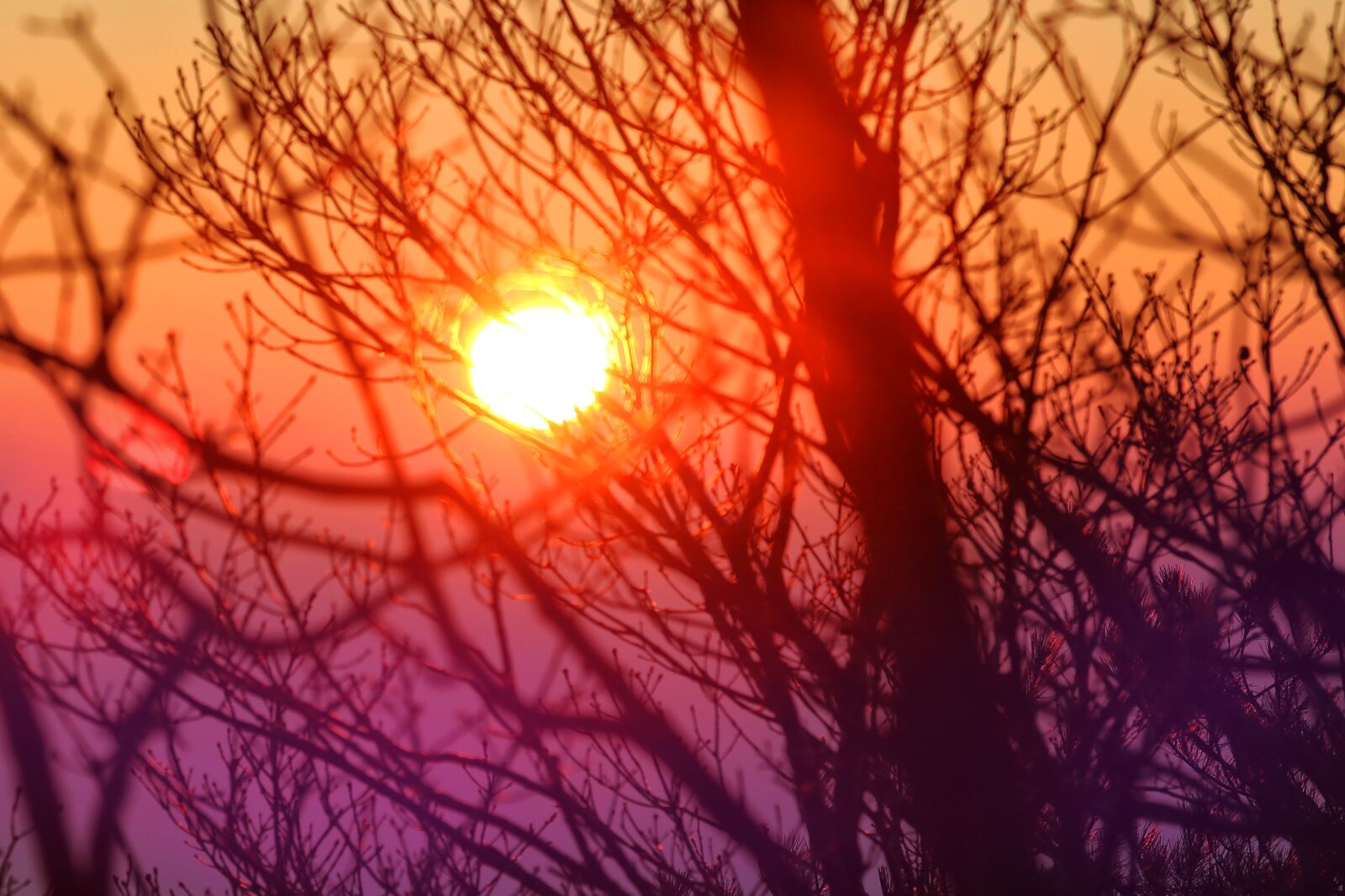 Canon EOS 5D Mark III sample photo. Sunrise, landscape, nature photography