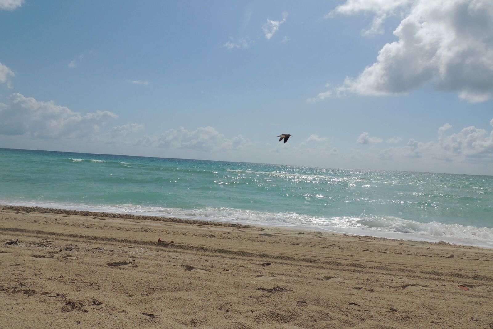 Nikon Coolpix P510 sample photo. Miami, beach, florida photography