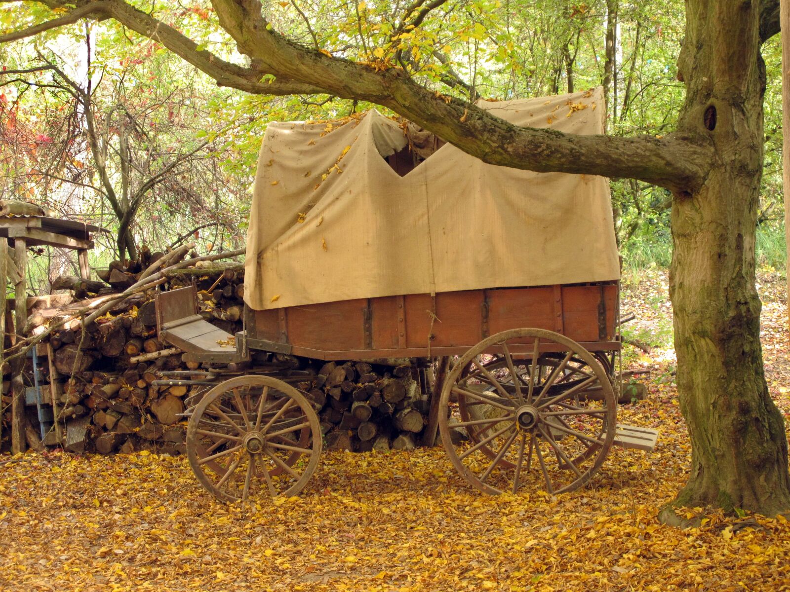 Canon PowerShot SD780 IS (Digital IXUS 100 IS / IXY Digital 210 IS) sample photo. Covered wagon, wooden cart photography