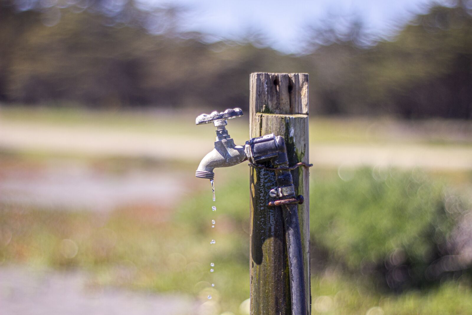 Canon EOS 550D (EOS Rebel T2i / EOS Kiss X4) sample photo. Water, drought, irrigation photography