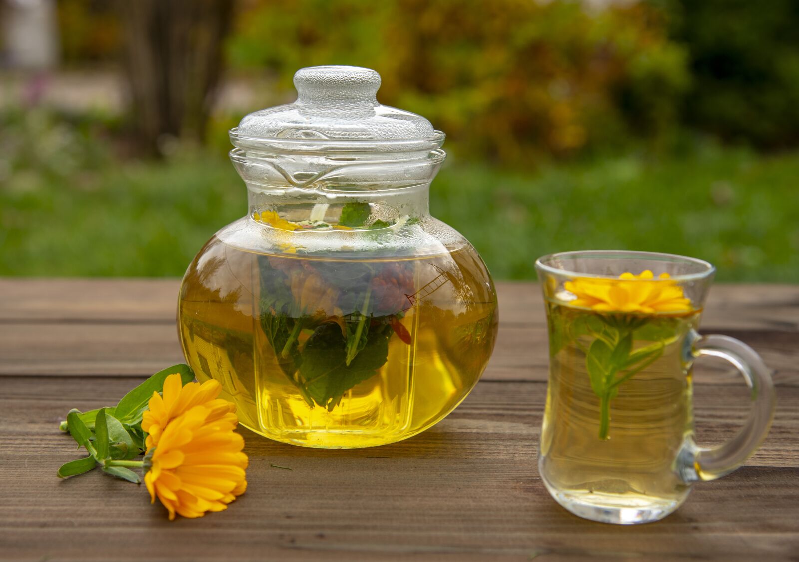 Nikon D750 sample photo. Tea, maker, drink photography