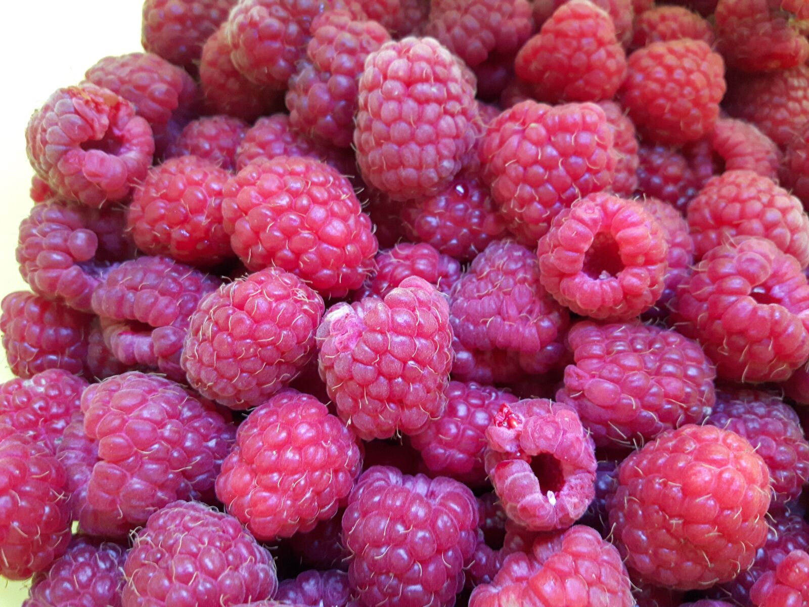 Samsung Galaxy S5 Neo sample photo. Raspberry, fruit, fruits photography