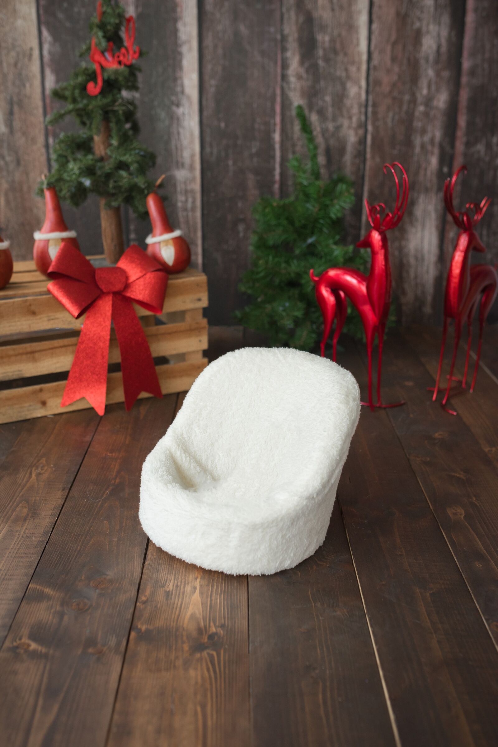 Nikon D810 sample photo. Christmas, newborn backdrop, backdrop photography