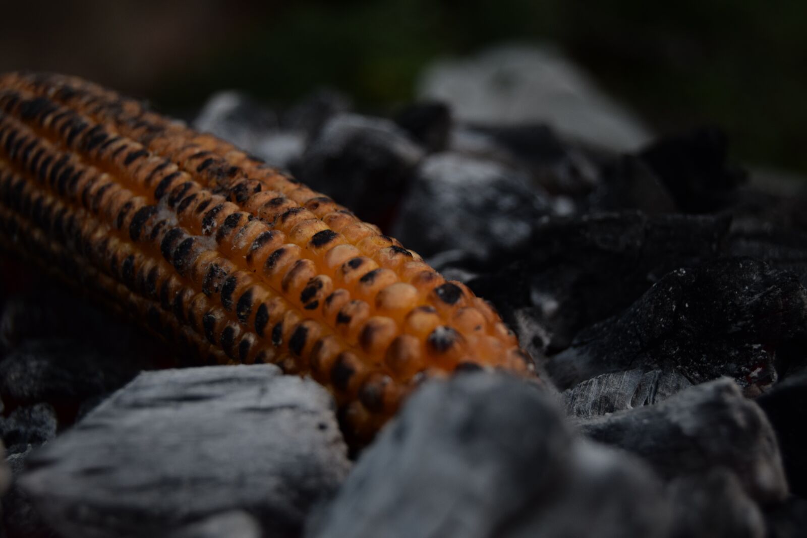 Nikon D3300 sample photo. Corn on the cob photography