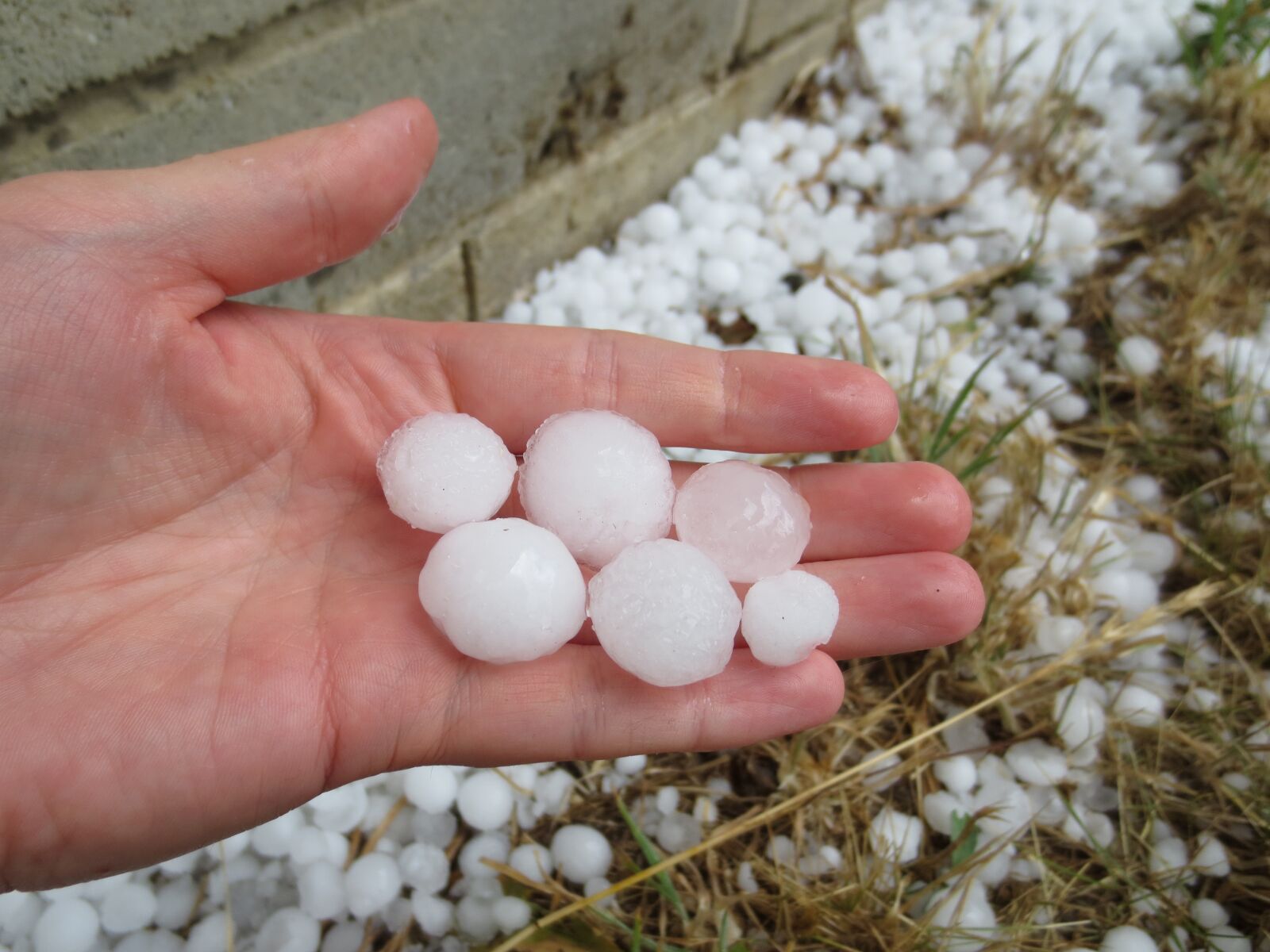 Canon IXUS 240 HS sample photo. Hail, hailstones, weather photography