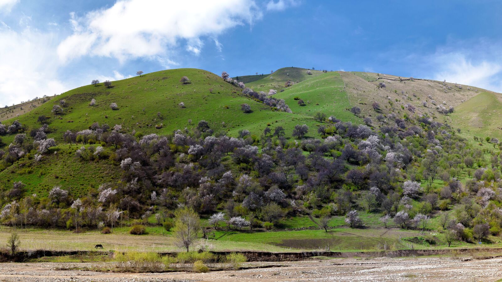 Canon EOS 5D Mark II sample photo. Nature, landscape, lawn photography