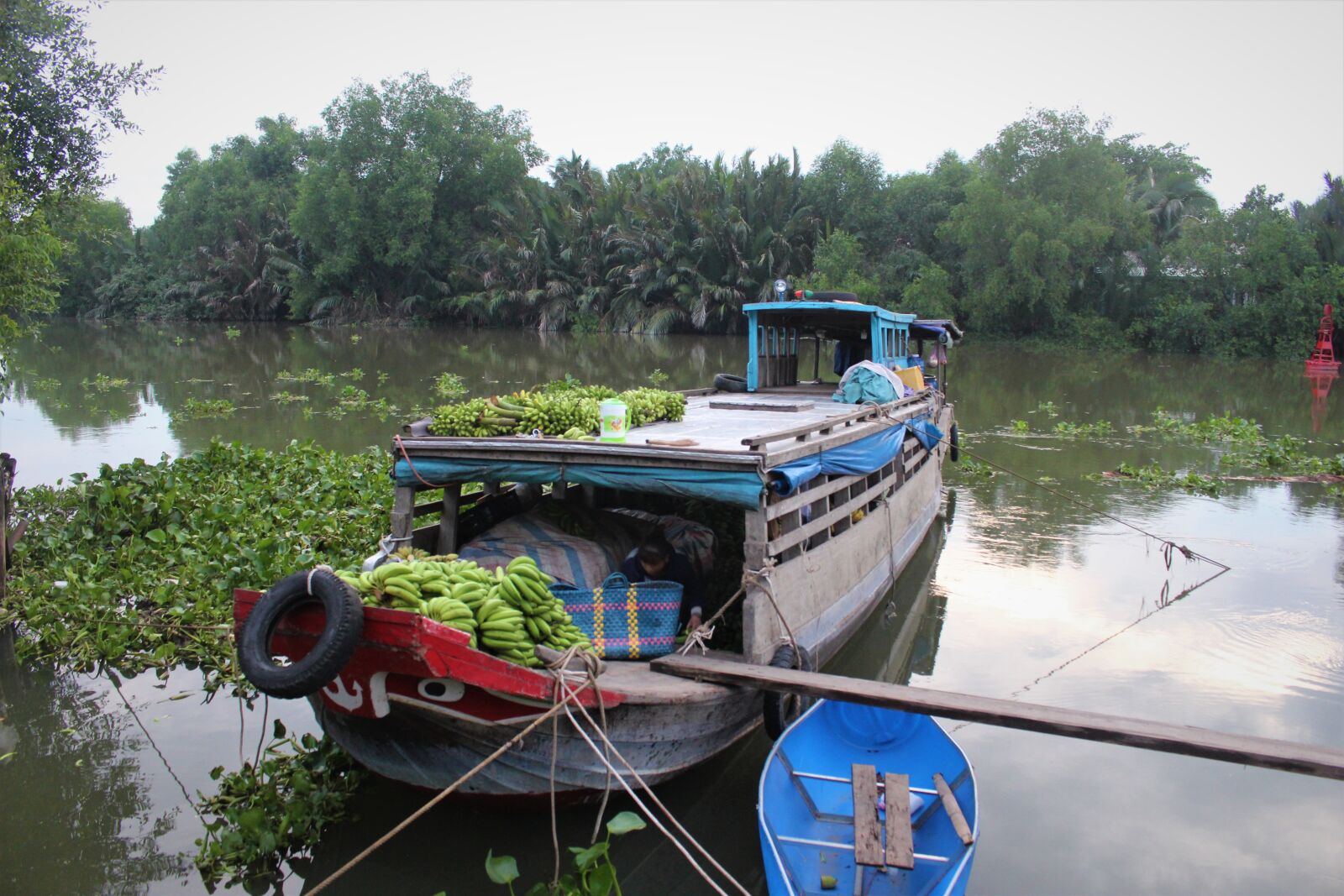 Canon EOS 700D (EOS Rebel T5i / EOS Kiss X7i) sample photo. River, boat, banana photography
