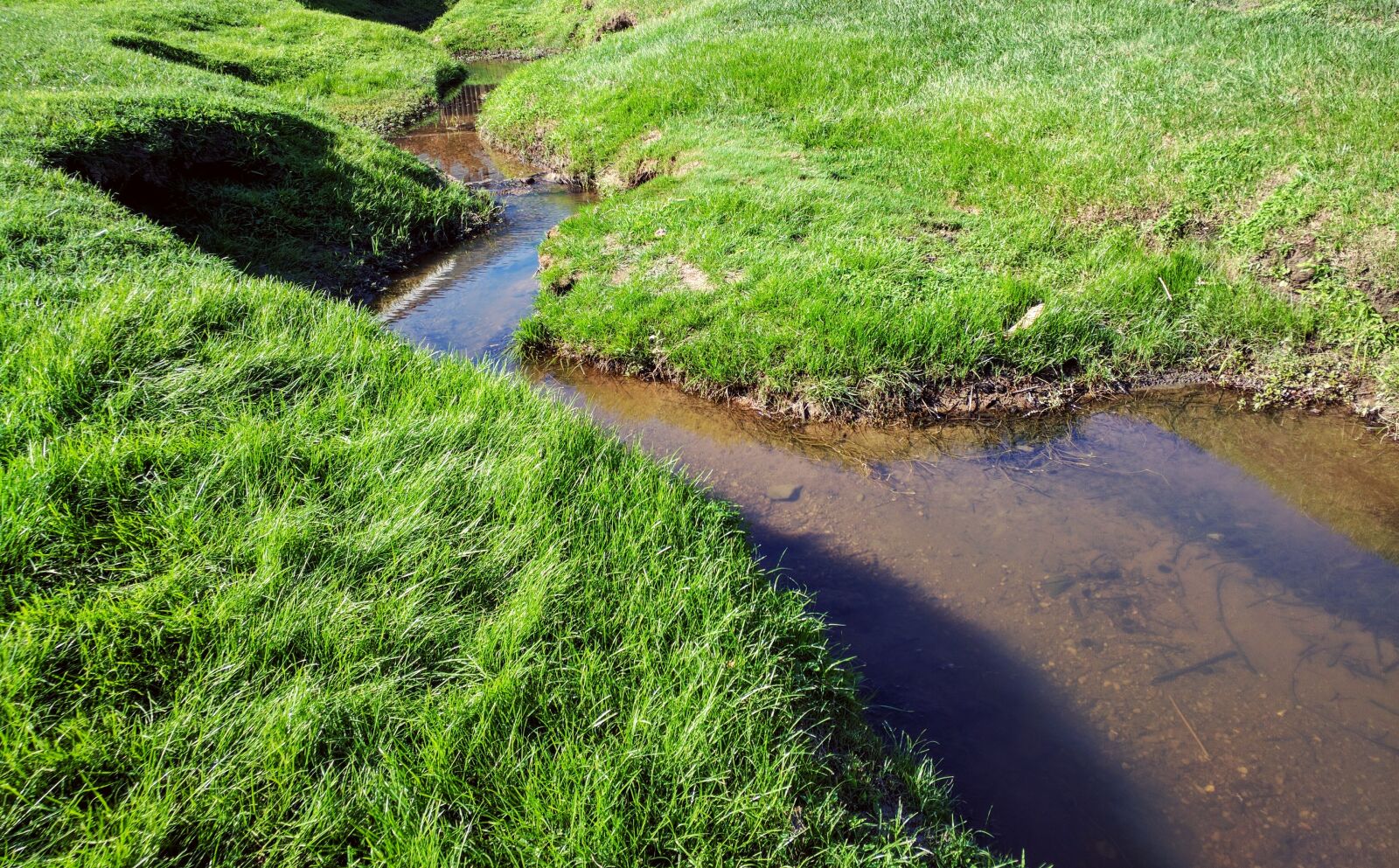 Motorola Nexus 6 sample photo. Creek, embankment, grass, river photography