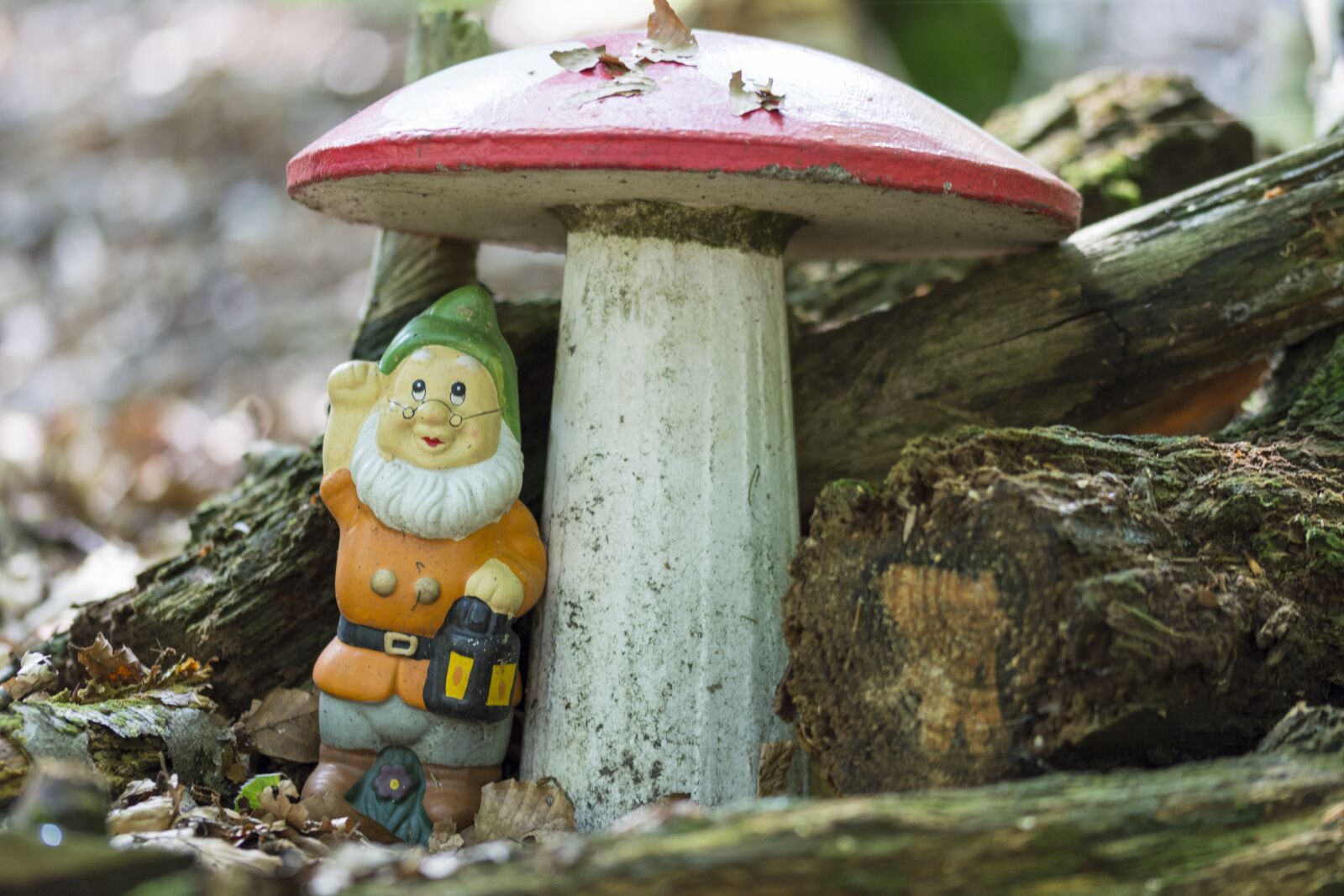 Nikon D5200 sample photo. Gnome, mushroom, forest photography