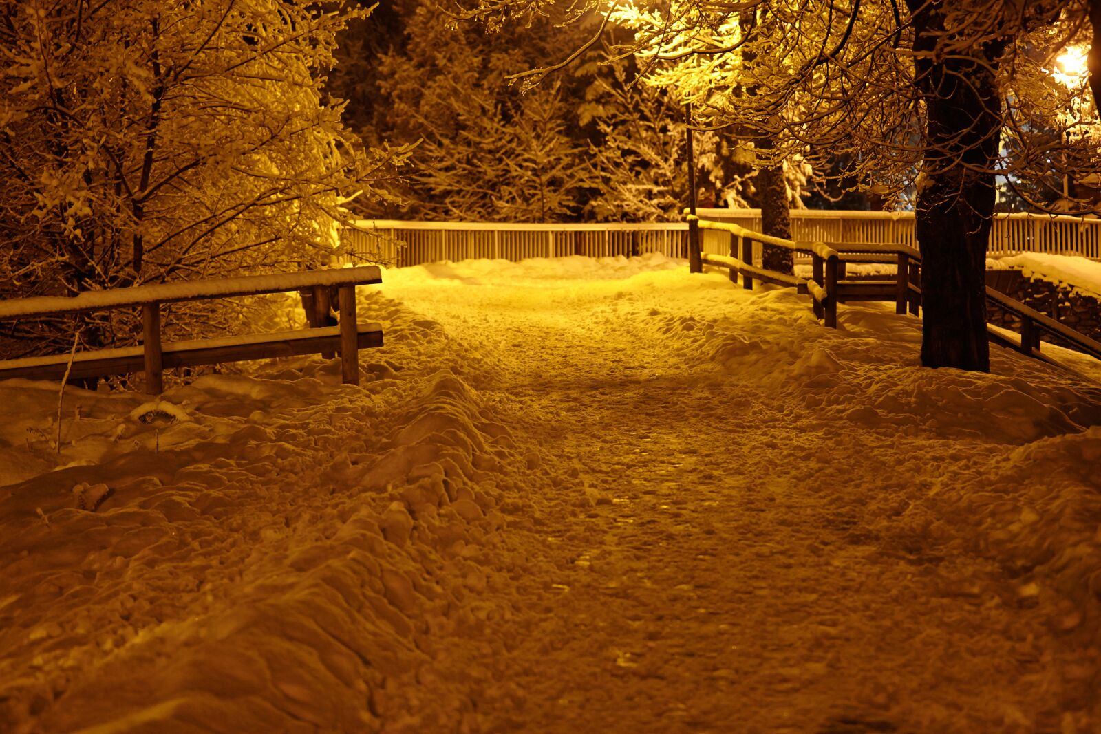 Canon EOS 5D Mark II sample photo. Chamonix, snowfall, snow photography