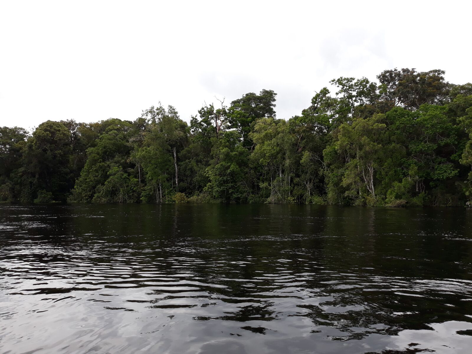 Samsung Galaxy J5 Pro sample photo. Sgc, amazonas, brazil photography