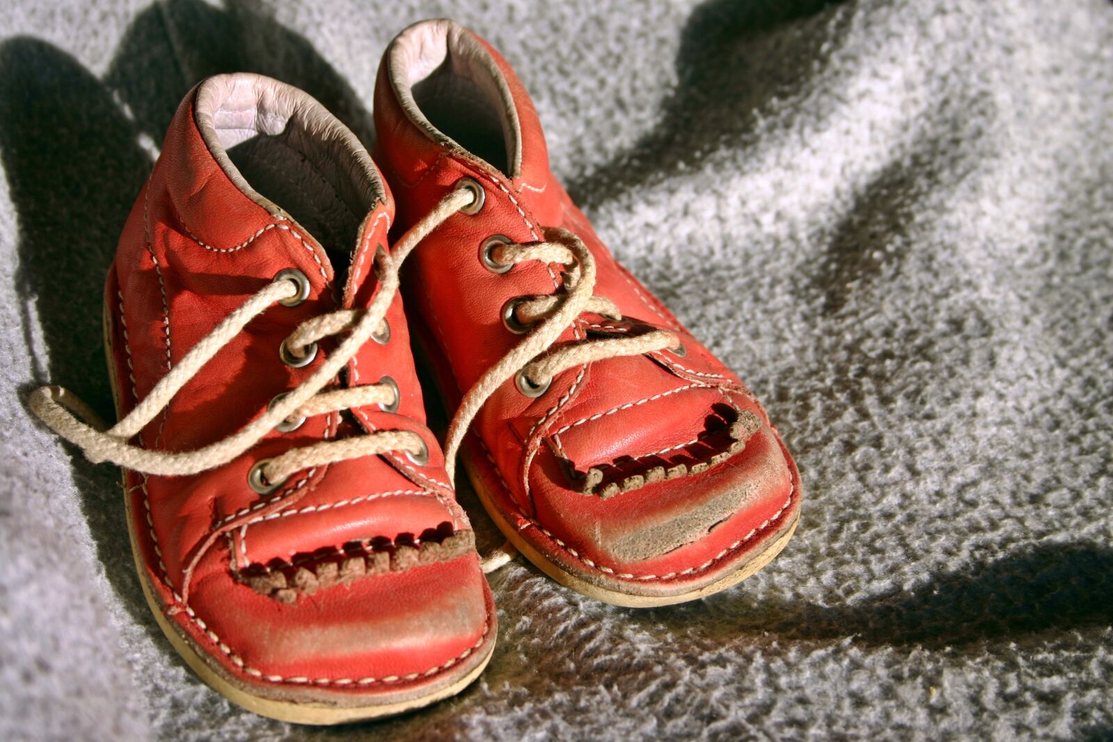 Canon EOS 300D (EOS Digital Rebel / EOS Kiss Digital) sample photo. Children's shoe, child's shoe photography
