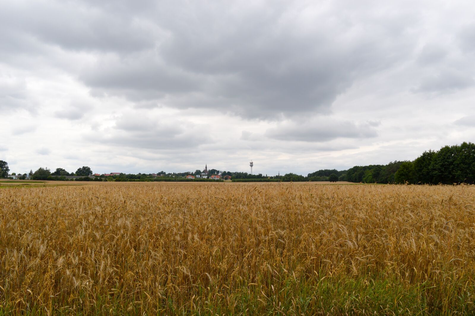 Nikon D3200 sample photo. Landscape, field, agriculture photography