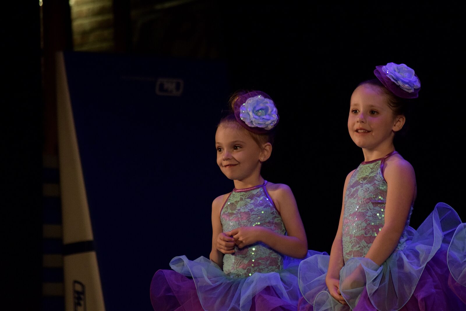 Nikon D3300 sample photo. Dancing, girls, performance photography