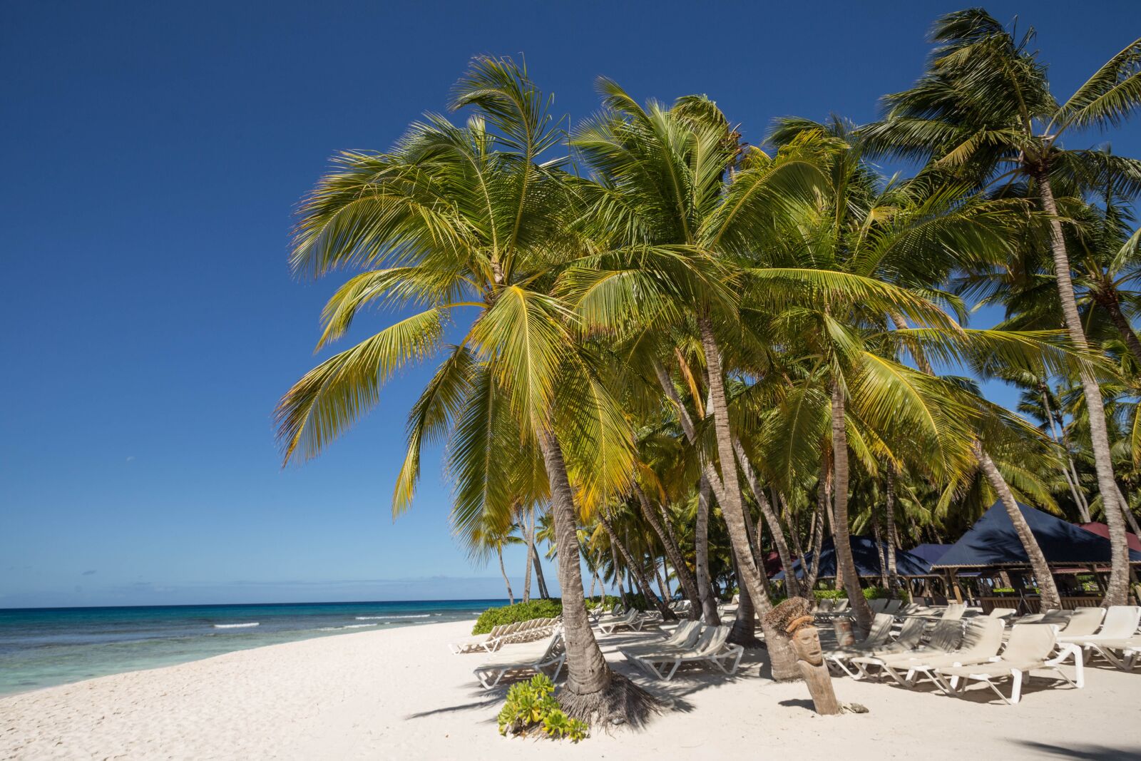 Canon EOS 6D + Canon EF 17-40mm F4L USM sample photo. Dominican republic, sargisova sea photography