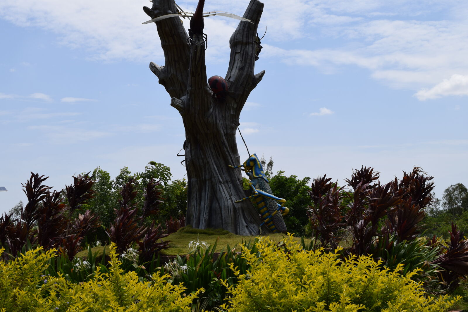 Nikon D3300 sample photo. Decoration, india photography