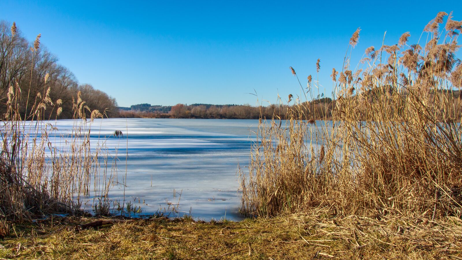 Canon EOS 650D (EOS Rebel T4i / EOS Kiss X6i) sample photo. Frozen lake, winter, cold photography