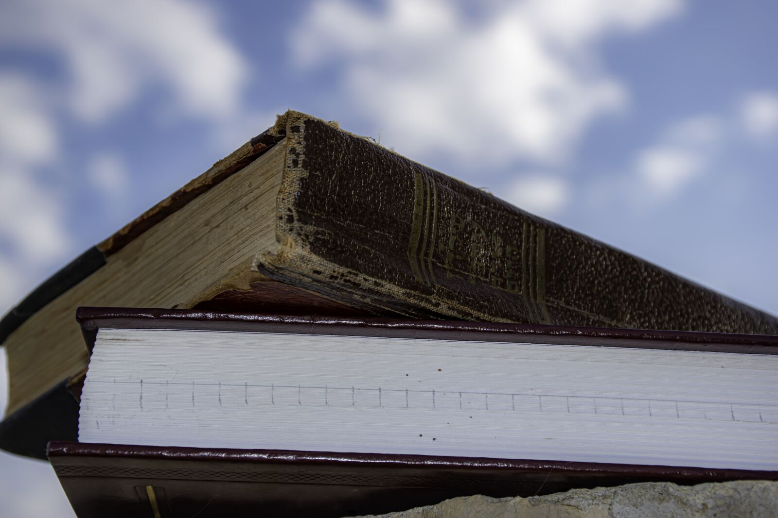 Nikon D5600 sample photo. Old, new, versus photography