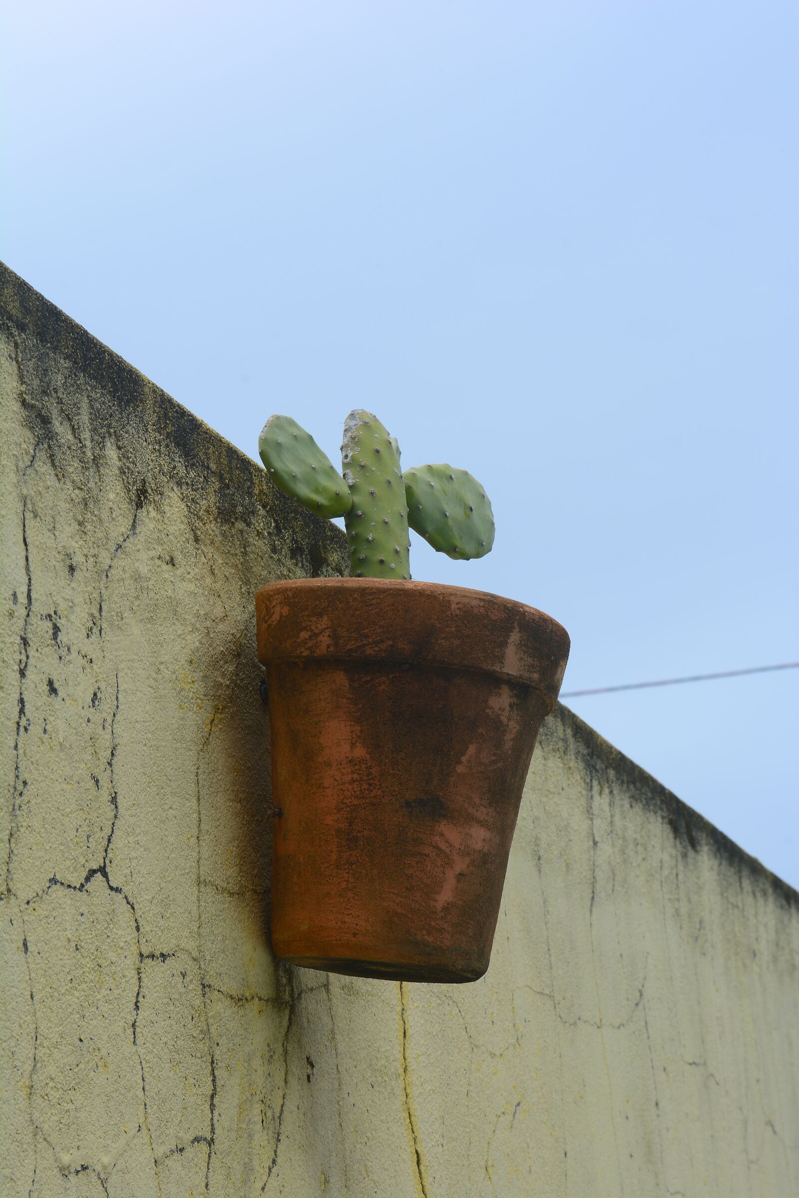 Nikon D5200 sample photo