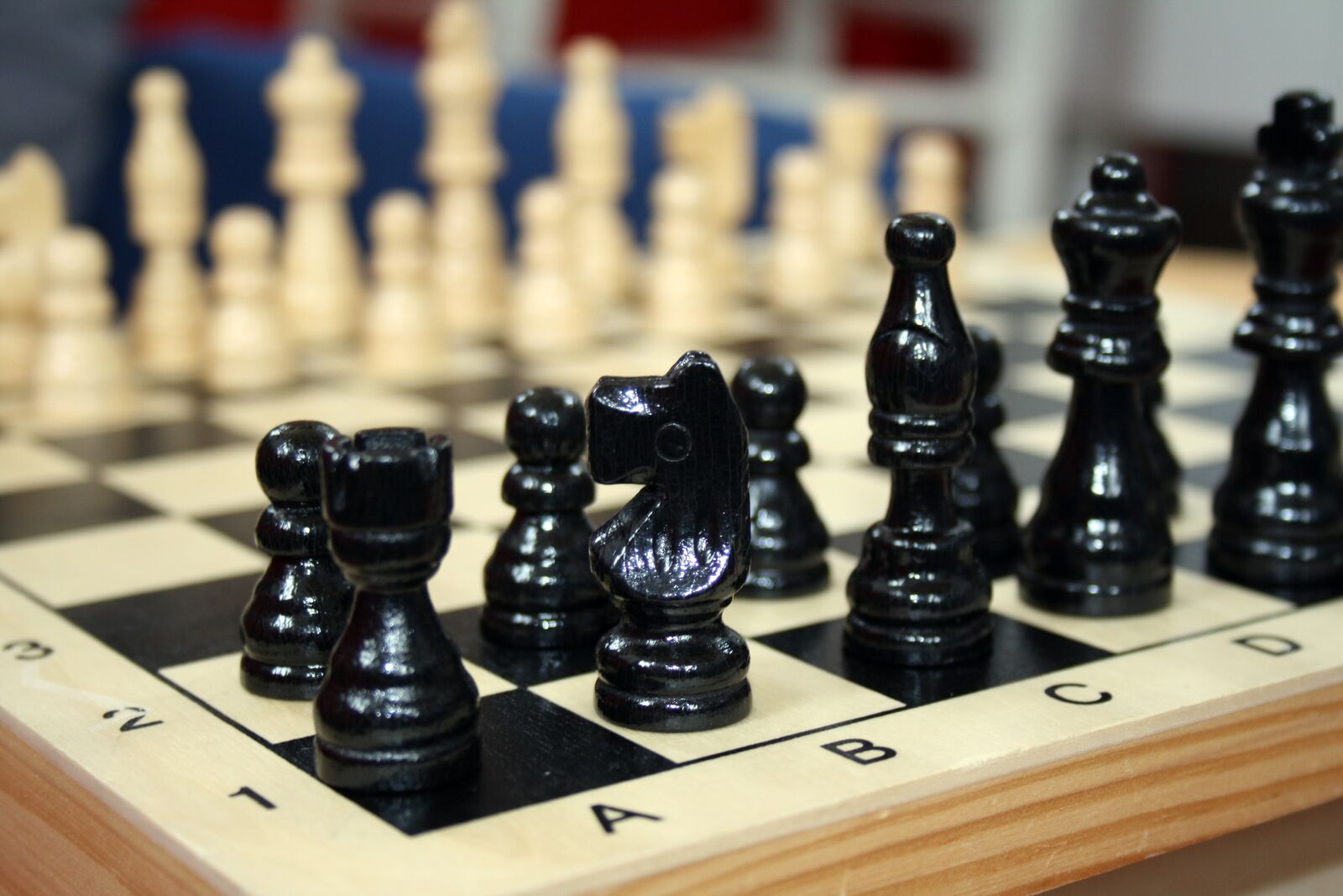 Canon EOS 1000D (EOS Digital Rebel XS / EOS Kiss F) sample photo. Chess, pawn, plan photography