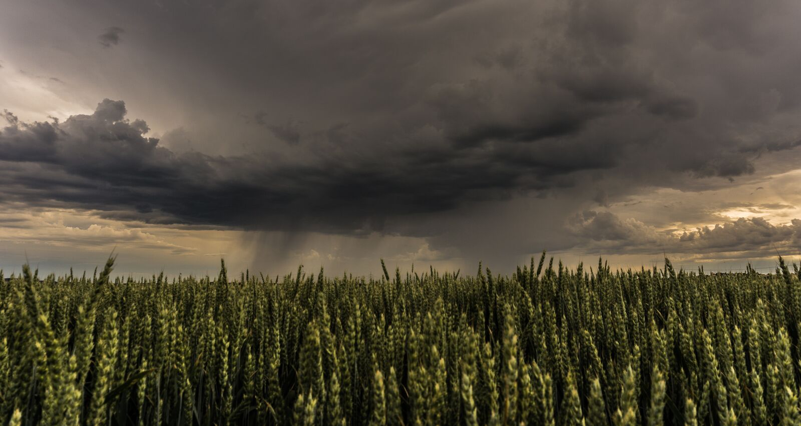 Sony a6000 sample photo. Thunderstorm, cloud, weather photography