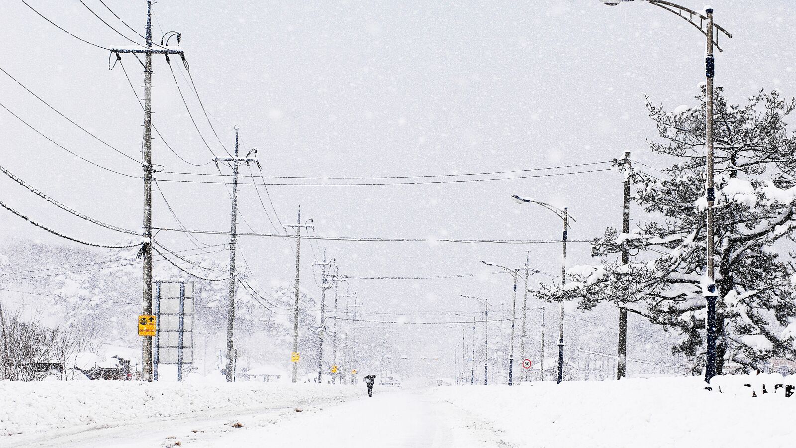 Nikon D2Xs sample photo. Eye distance, winter, nature photography