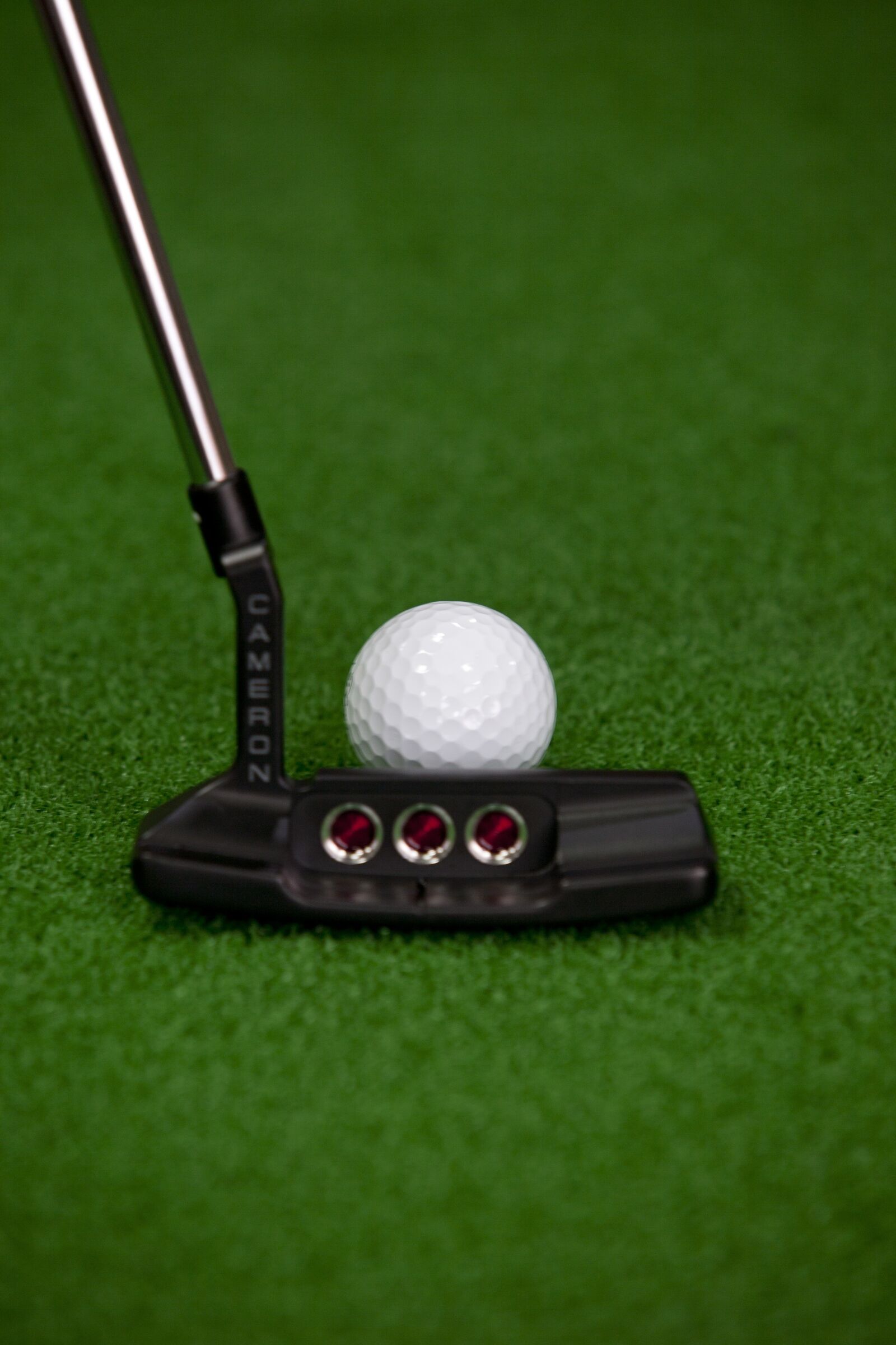 Canon EOS 5D sample photo. Golf, golf balls, exercise photography