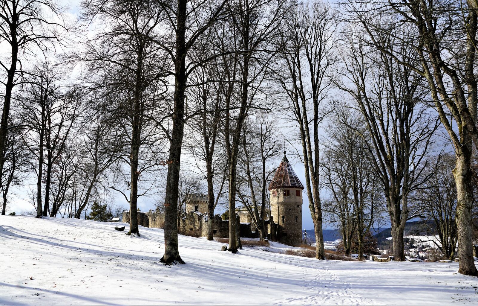 Sony ILCA-77M2 + Sony DT 16-50mm F2.8 SSM sample photo. Winter, snow, tree photography