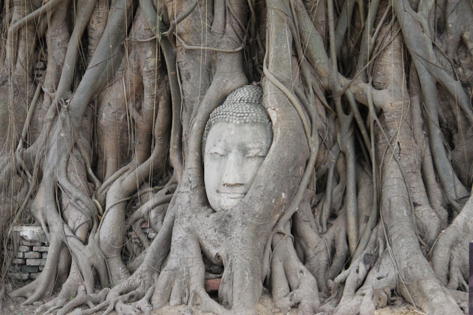 Canon EOS 550D (EOS Rebel T2i / EOS Kiss X4) sample photo. Buddha, monument, nature photography