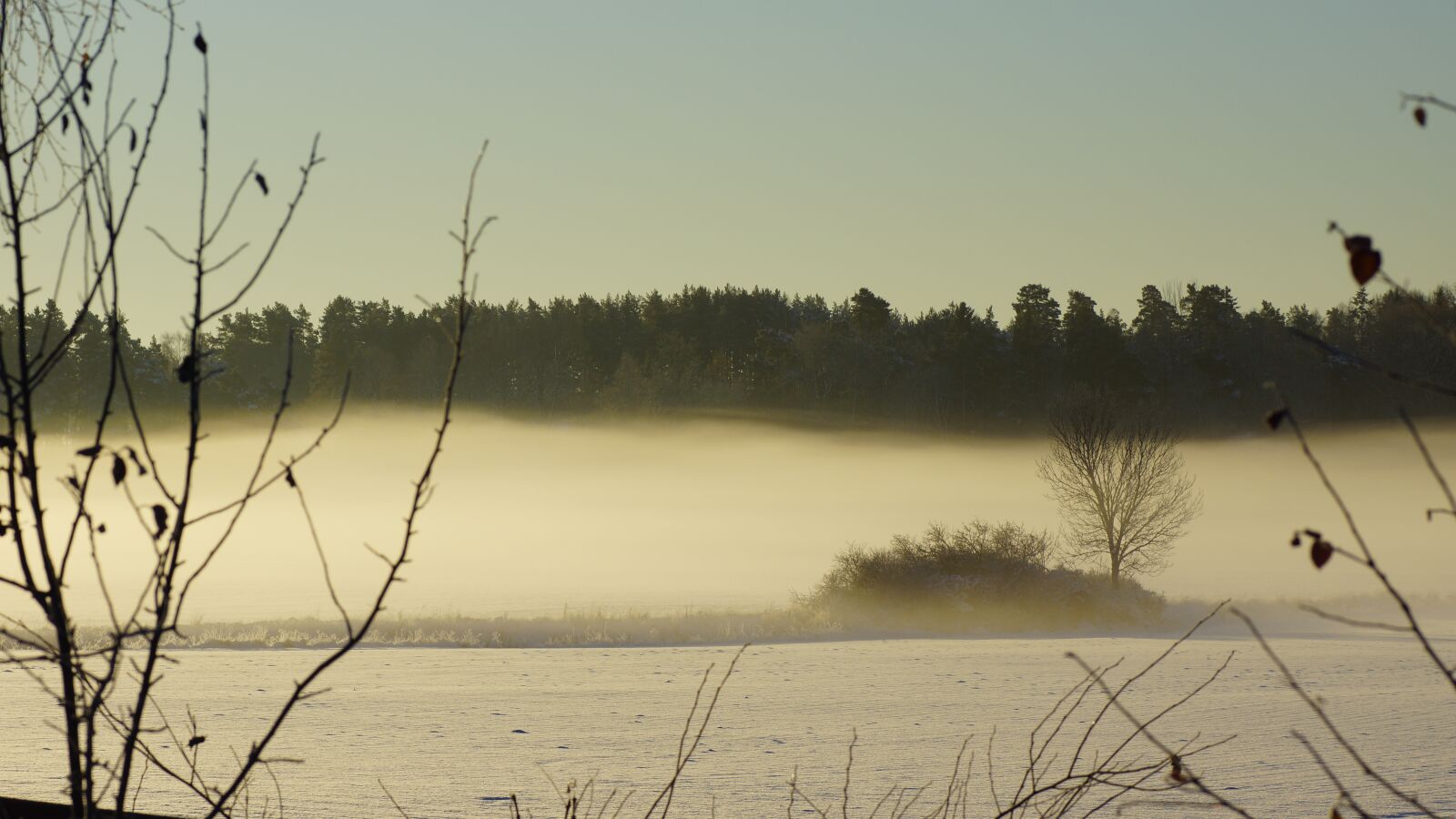 Sony SLT-A77 + Tamron SP AF 90mm F2.8 Di Macro sample photo. Winter, landscape, mist photography