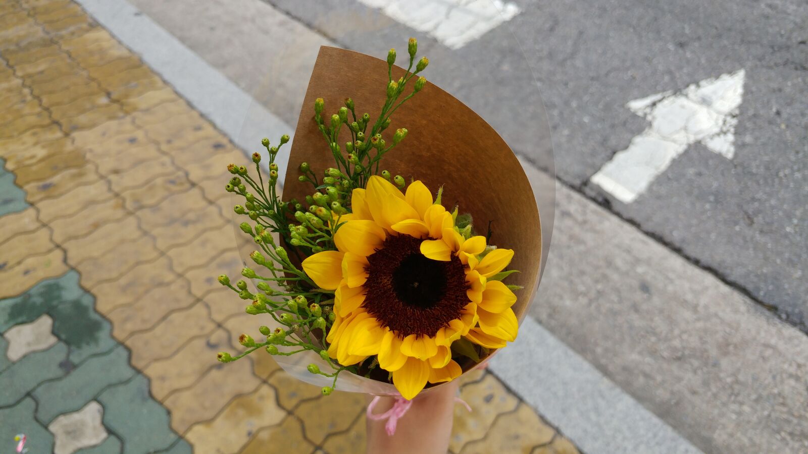 LG G5 sample photo. Flowers, summer, nature photography
