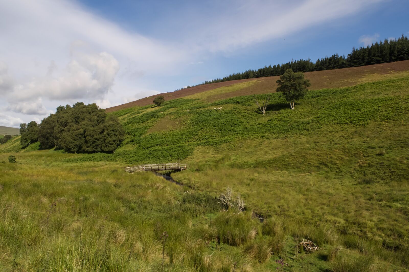 Olympus OM-D E-M10 sample photo. Highlands and islands, scotland photography
