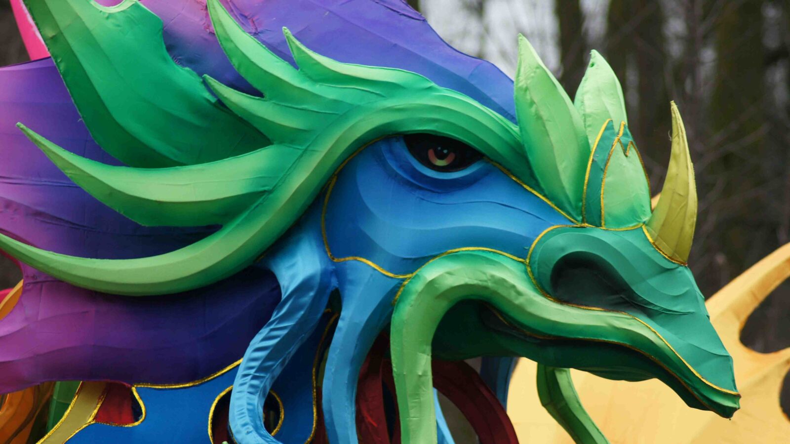 Sony SLT-A55 (SLT-A55V) sample photo. Dragon's head, zoo, festival photography