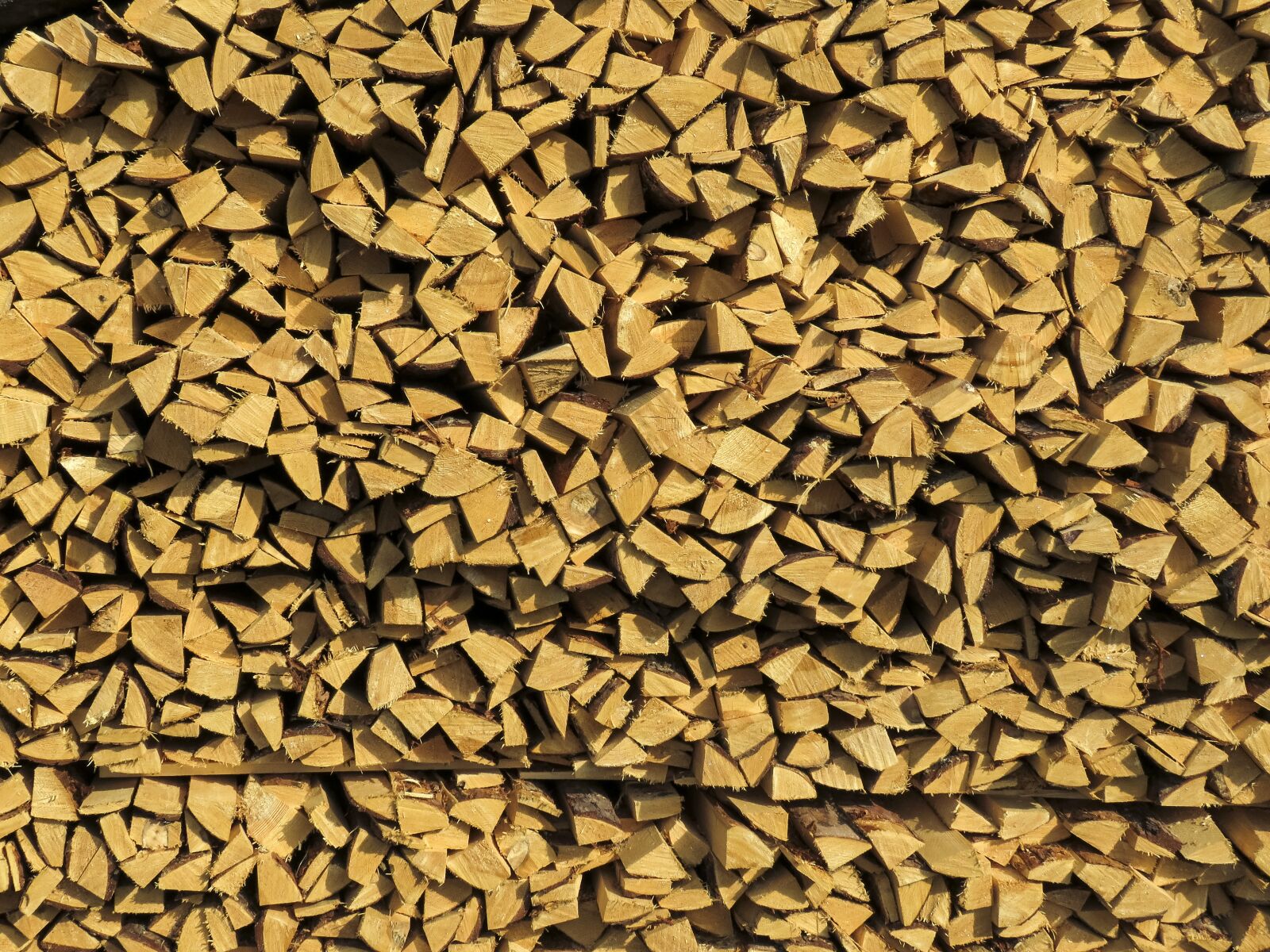 Canon PowerShot SX60 HS sample photo. Firewood, pile, wood photography