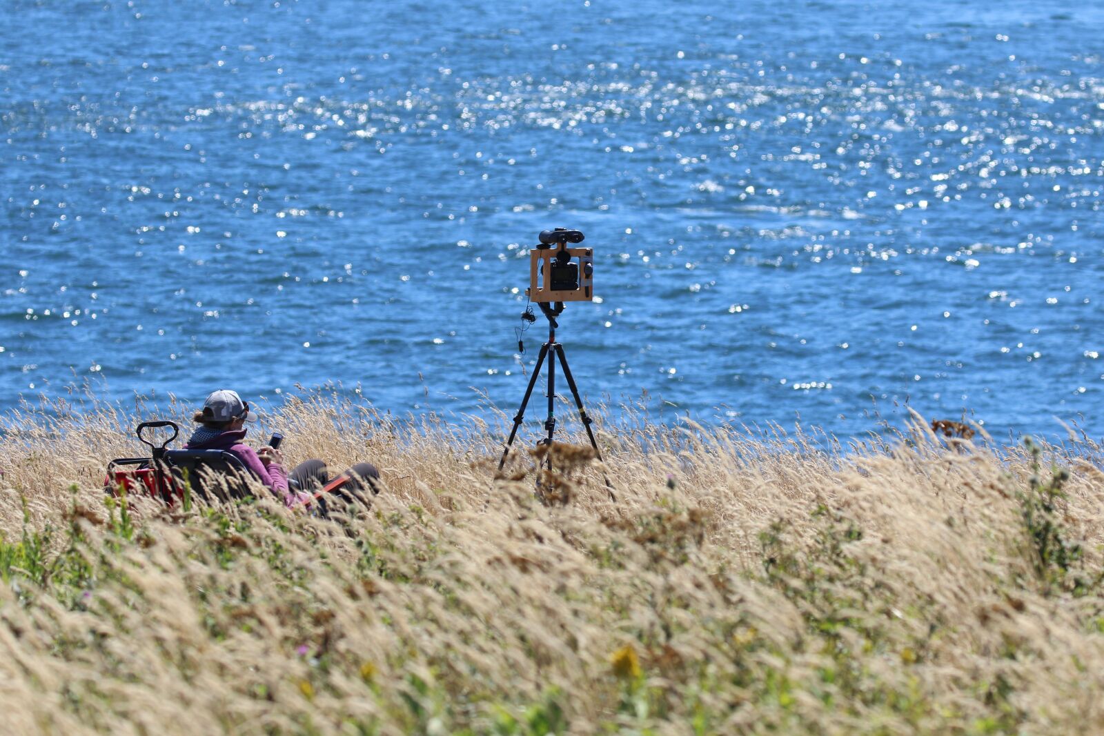 Canon EOS 7D Mark II sample photo. Researcher, research, marine biology photography