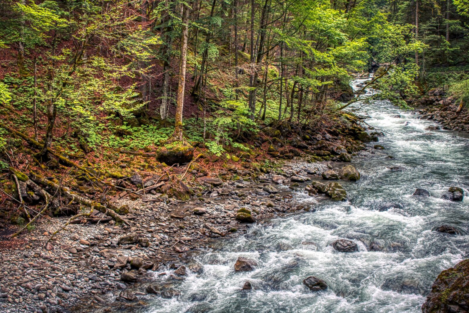 Canon EOS 750D (EOS Rebel T6i / EOS Kiss X8i) sample photo. Forest, oberstdorf, bavaria photography