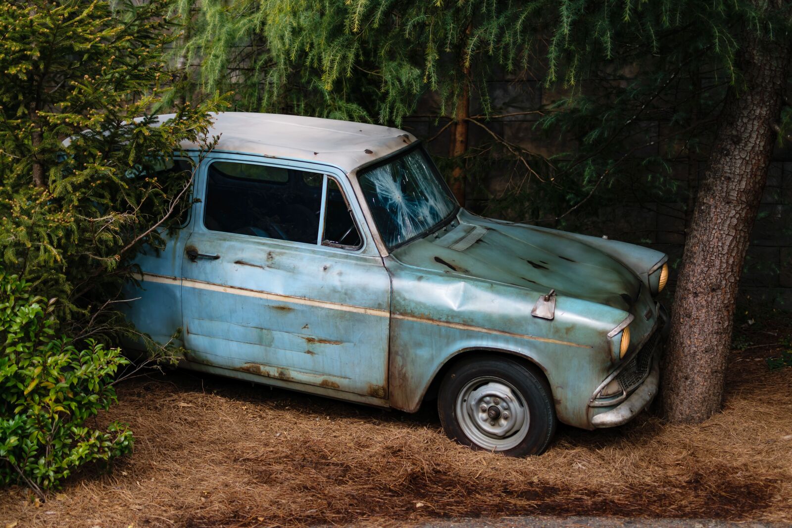 Nikon D5300 sample photo. Car, flying, ford photography