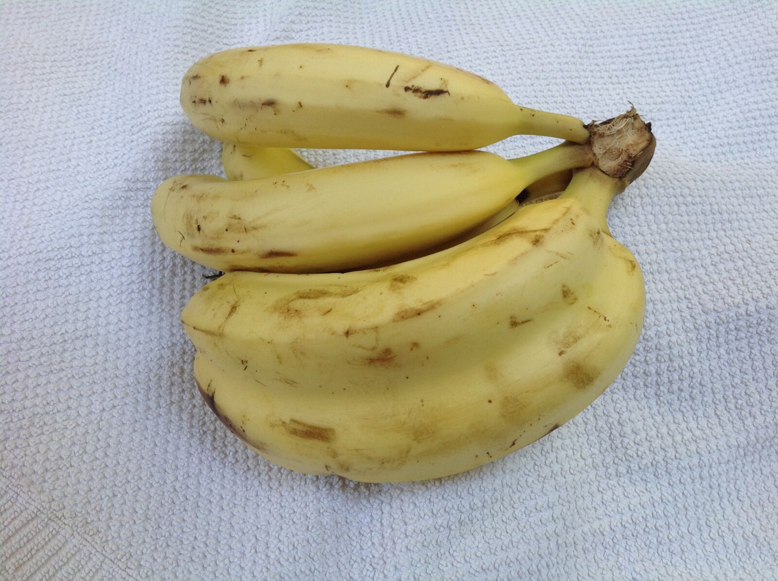 Apple iPad sample photo. Twin, banana, twin banana photography