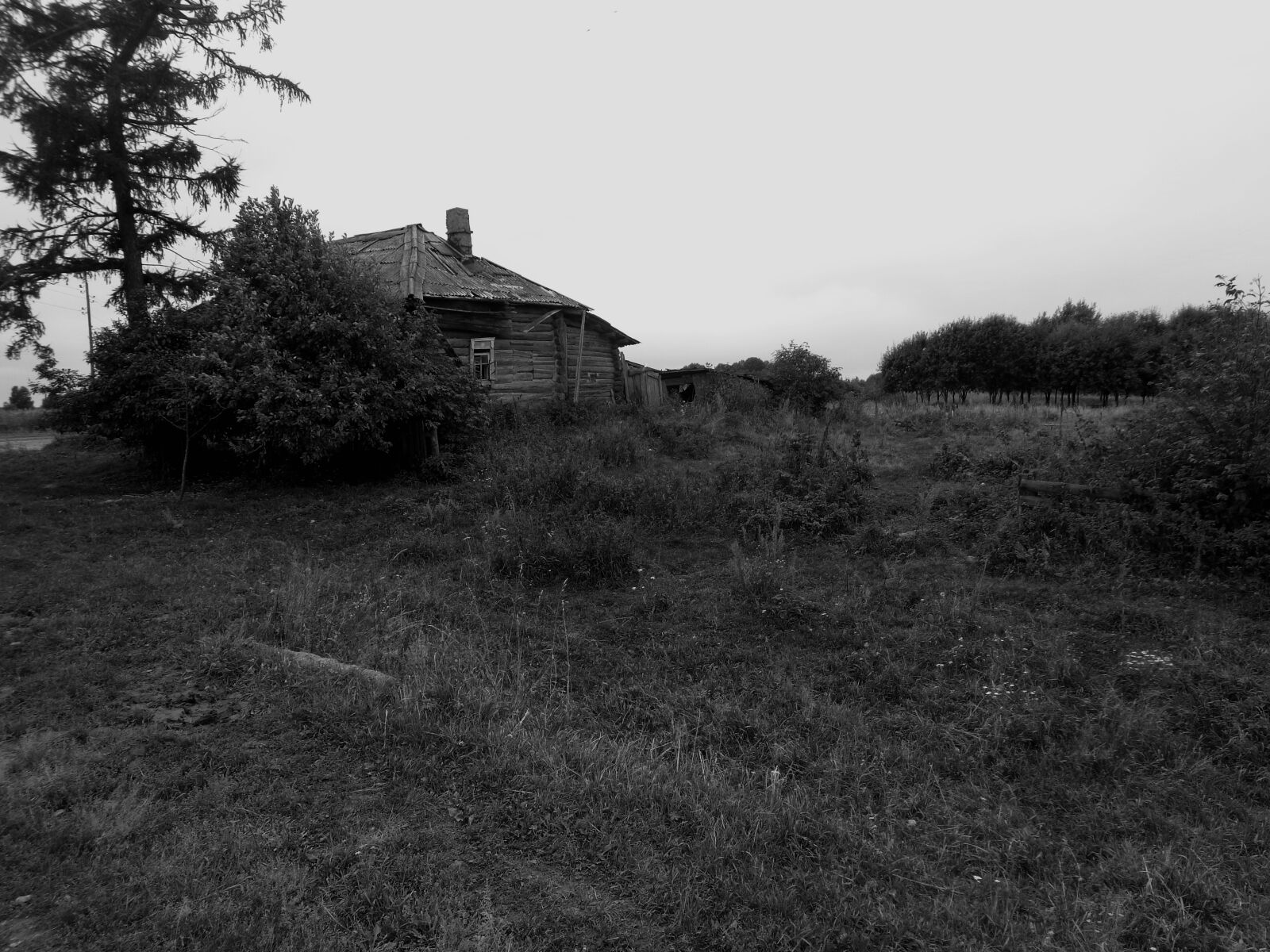 Sony Cyber-shot DSC-W730 sample photo. Forest, village, black and photography