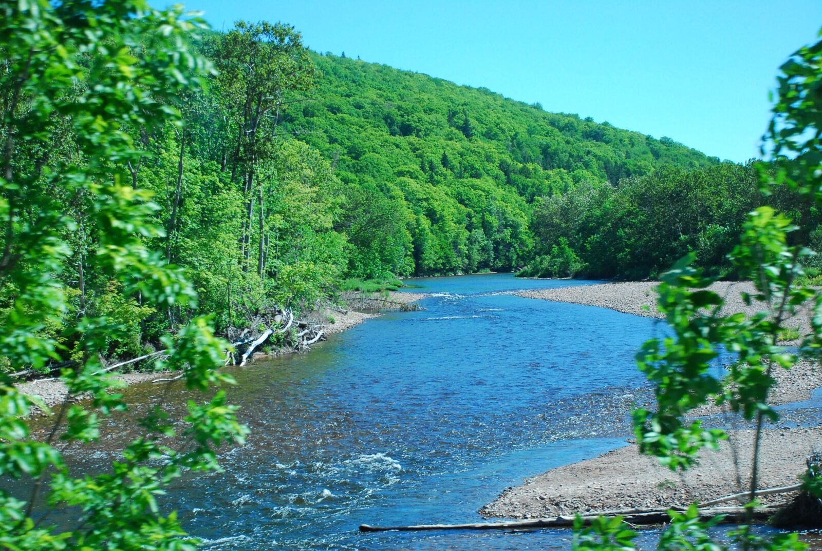 Nikon D80 sample photo. Nature, water, summer photography