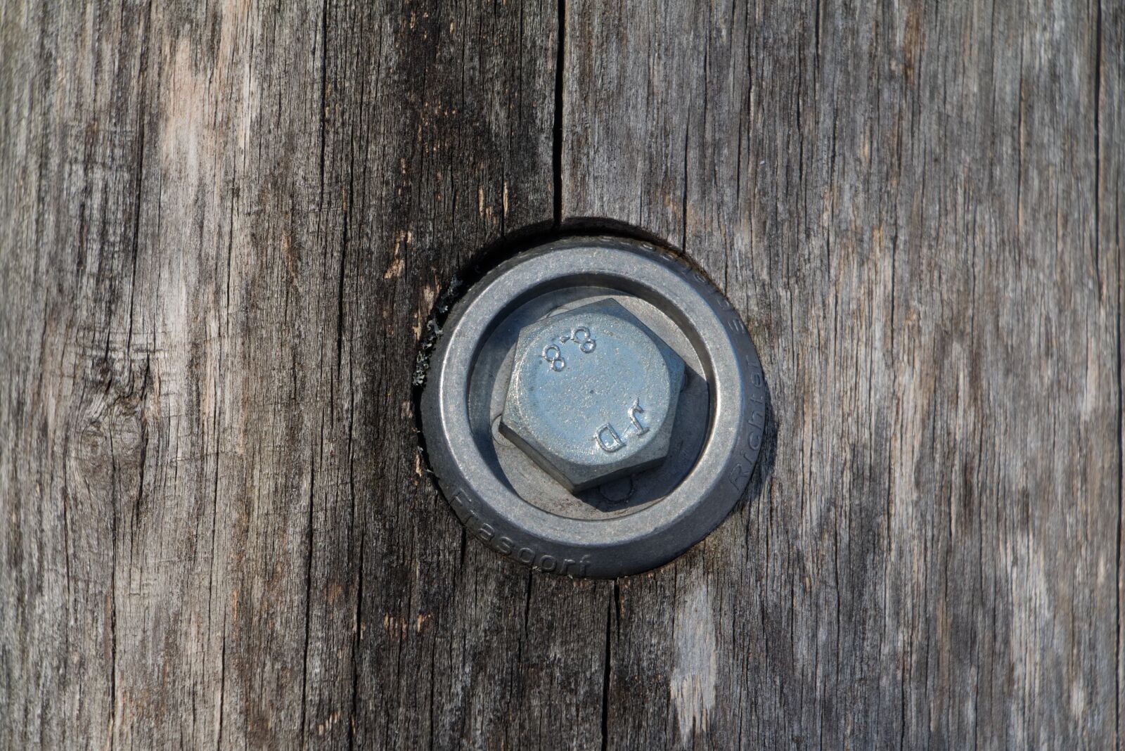 Canon EOS 70D sample photo. Screw, fixing, wood photography