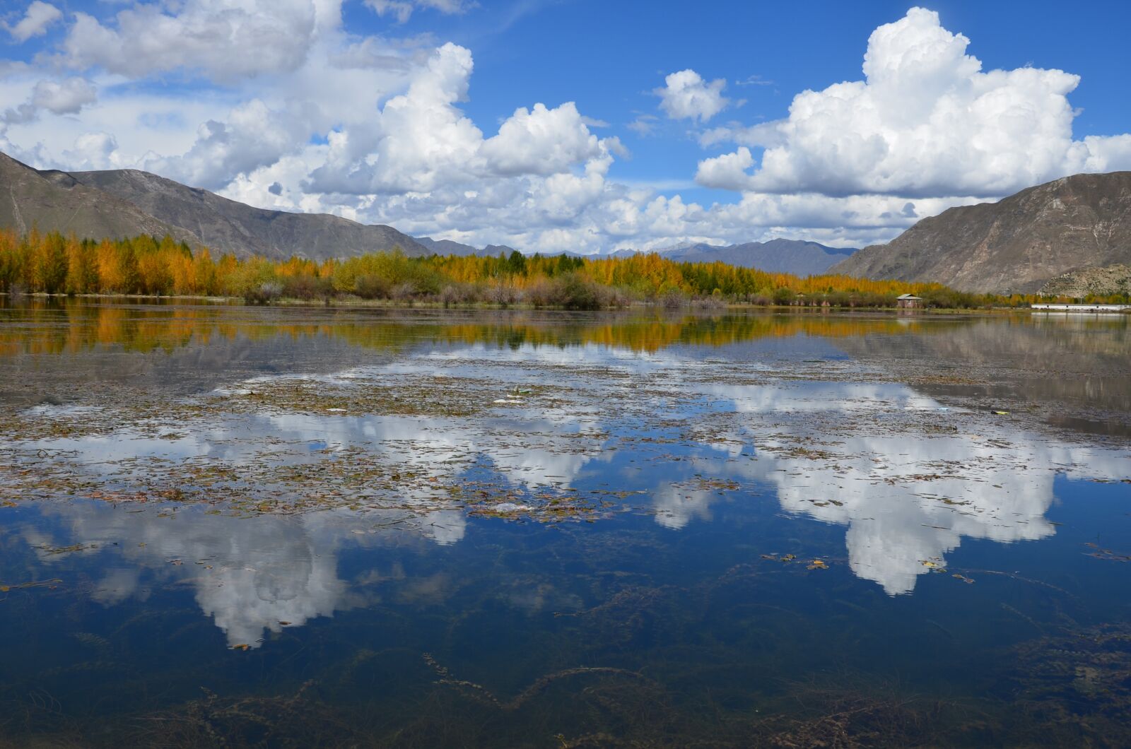 Nikon D5100 sample photo. Pond, tibet, blue sky photography