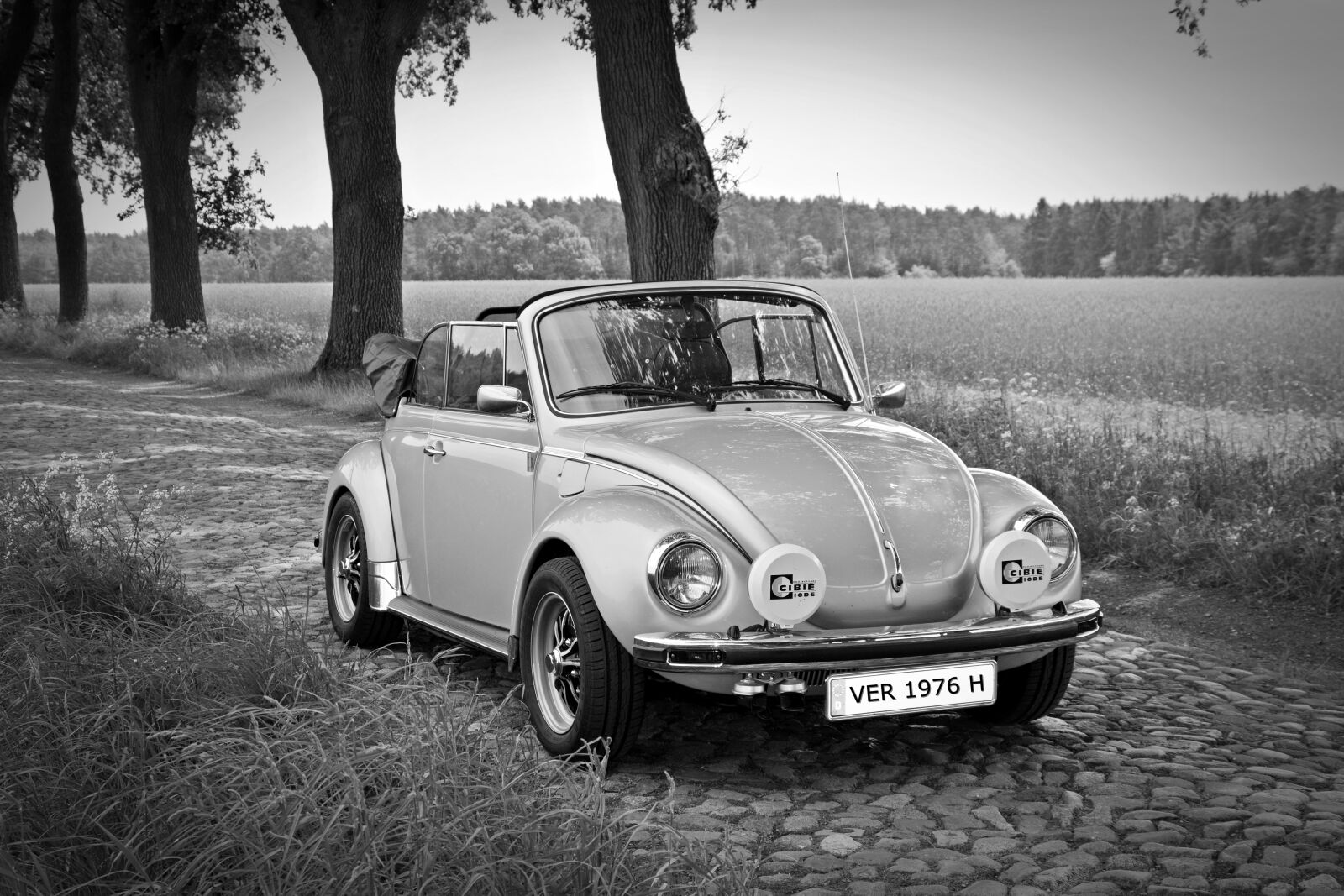 Nikon D5200 sample photo. Oldtimer, vw, vw beetle photography