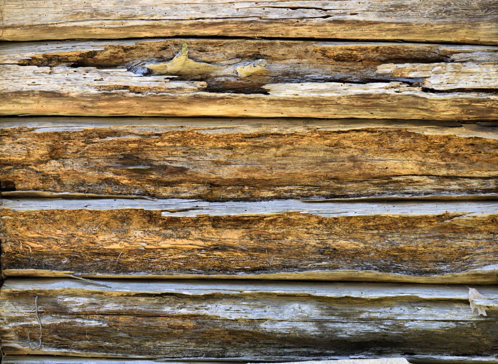 Nikon D3300 sample photo. Wooden, wall, background photography