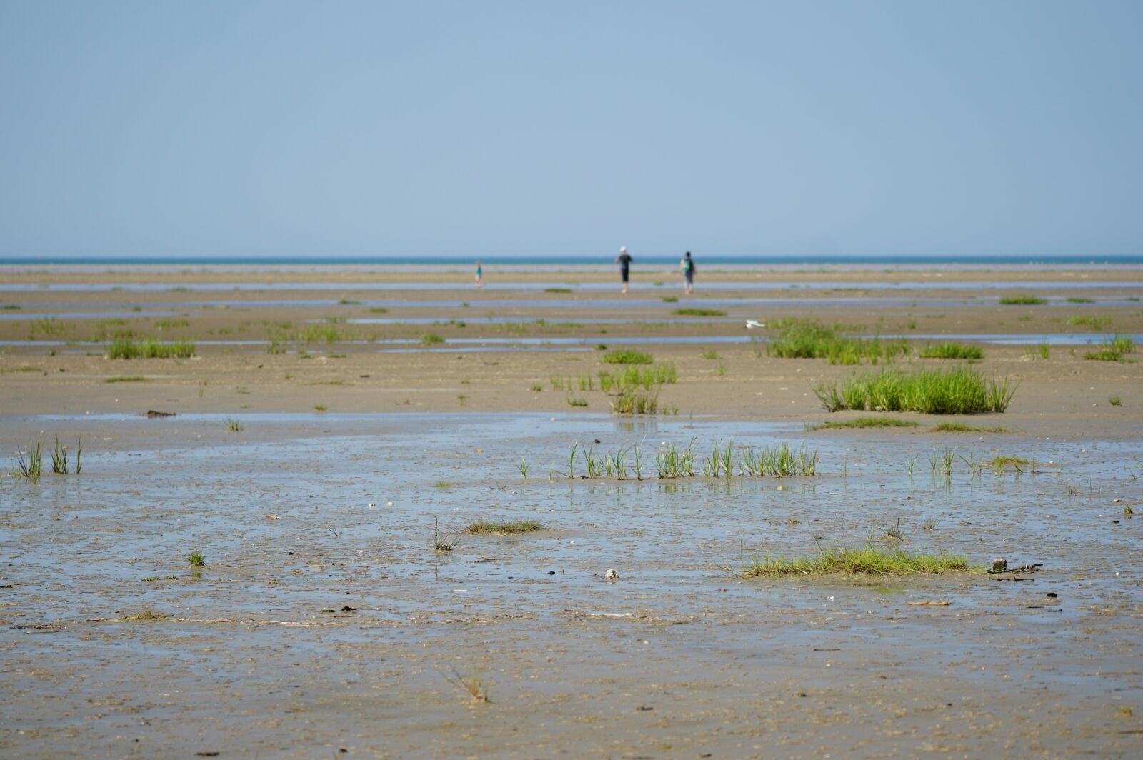 Sony E 70-350mm F4.5-6.3 G OSS sample photo. Fanø, ebbe, wadden sea photography