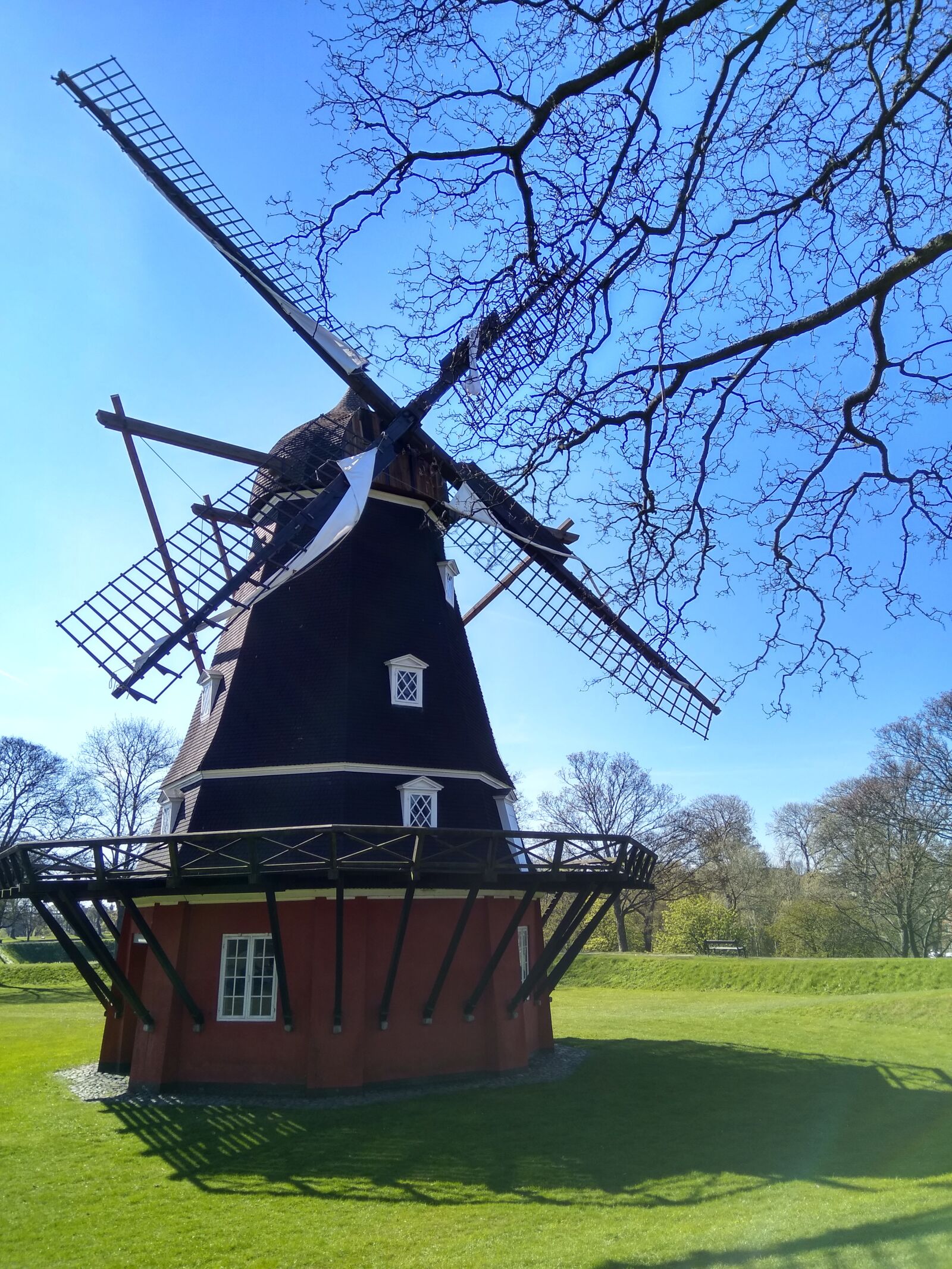 Xiaomi MI MAX sample photo. Windmill, europe, landscape photography