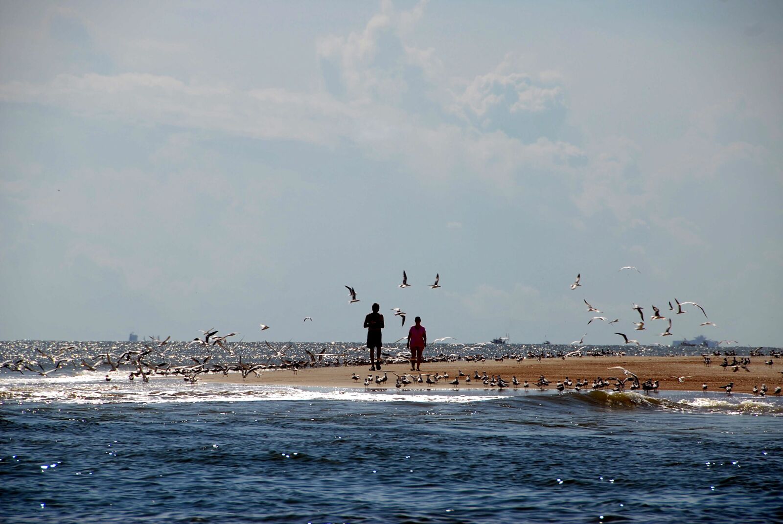 Nikon D200 sample photo. People, feeding, birds photography