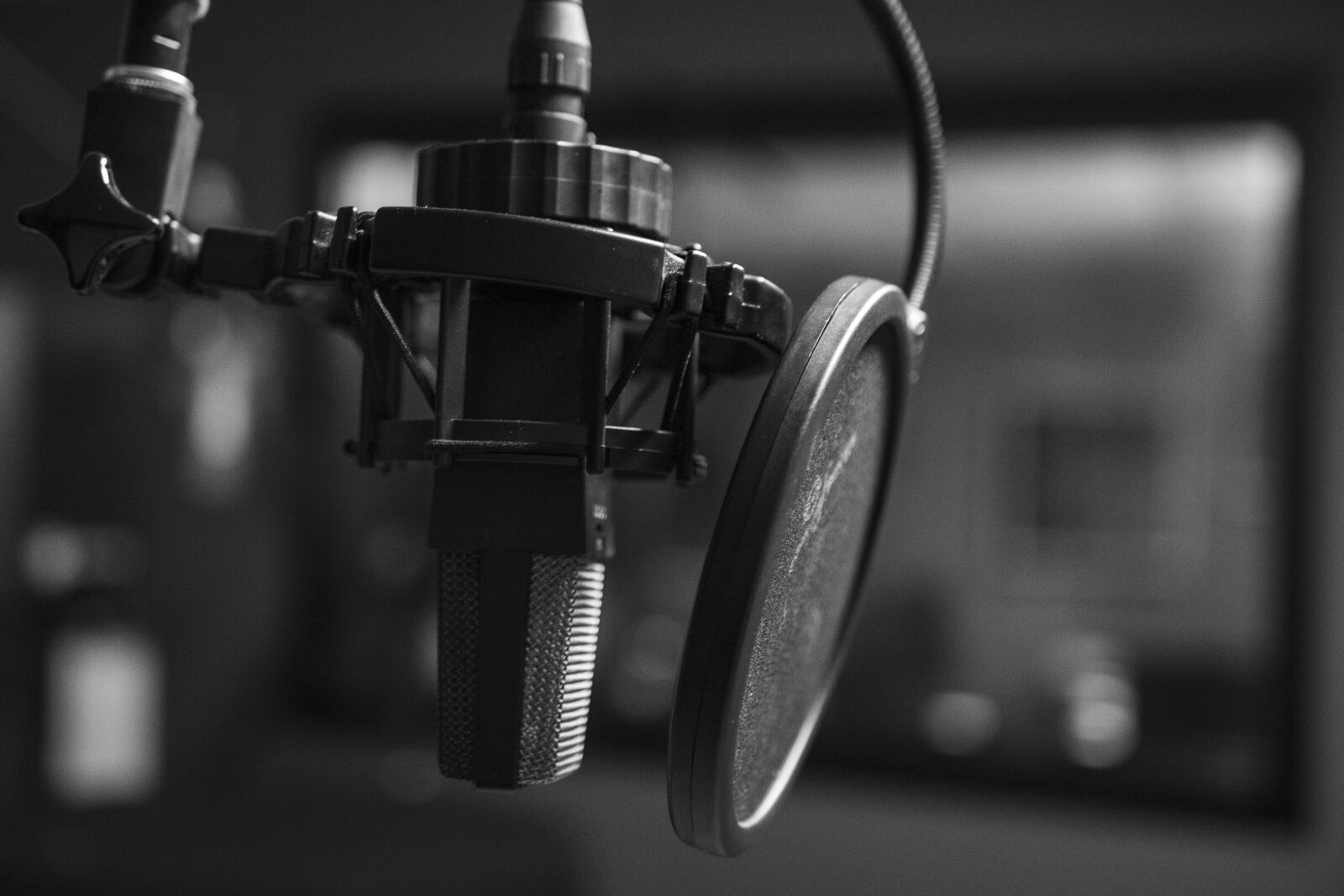Canon EOS 750D (EOS Rebel T6i / EOS Kiss X8i) sample photo. Podcast, microphone, audio photography